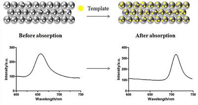 Recent Advances in Sensing Applications of Molecularly Imprinted Photonic Crystals